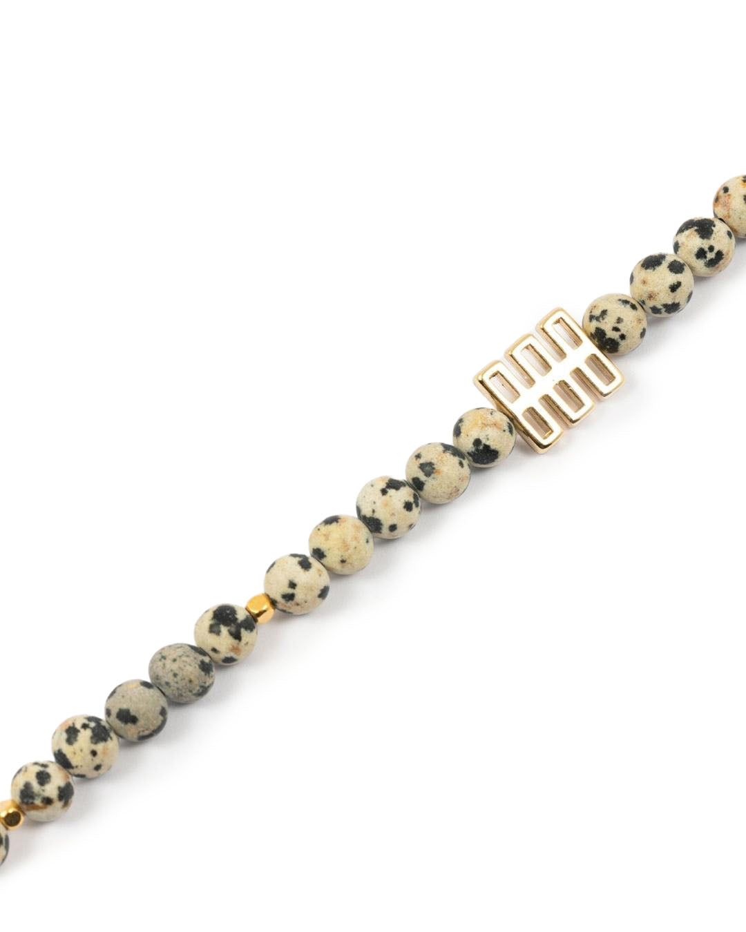 Dalmatian Jasper Choker (6mm)