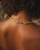 Dalmatian Jasper Necklace